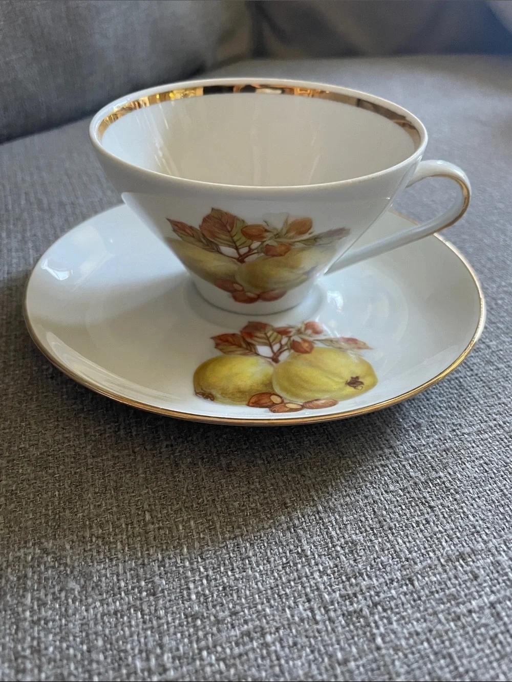 Bareuther Waldsassen Bavarian  Teacup and Saucer Set Fruit design and Gold Trim